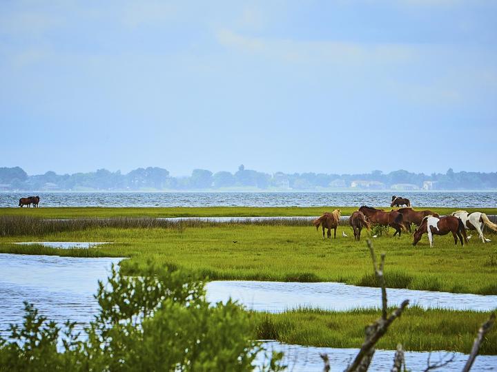 Comfort Suites Ocean City | Ocean City | 3