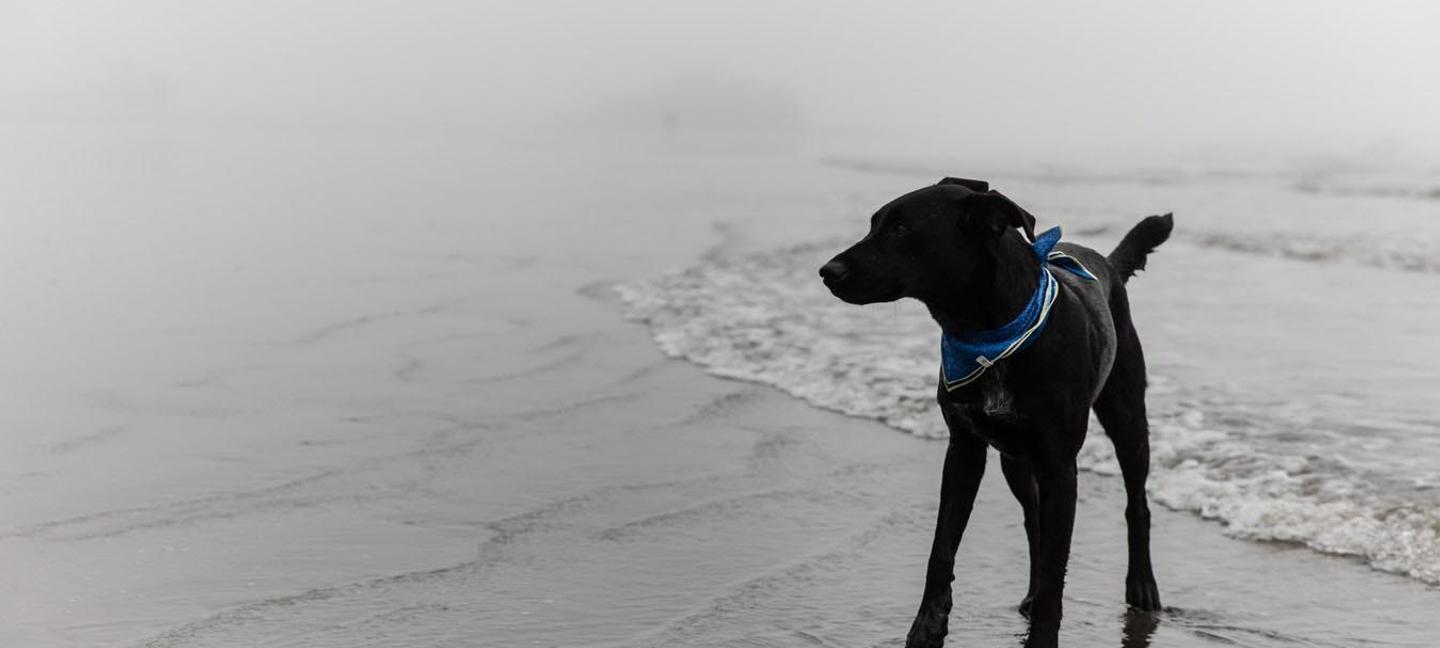 Comfort Suites Ocean City | Ocean City | 1