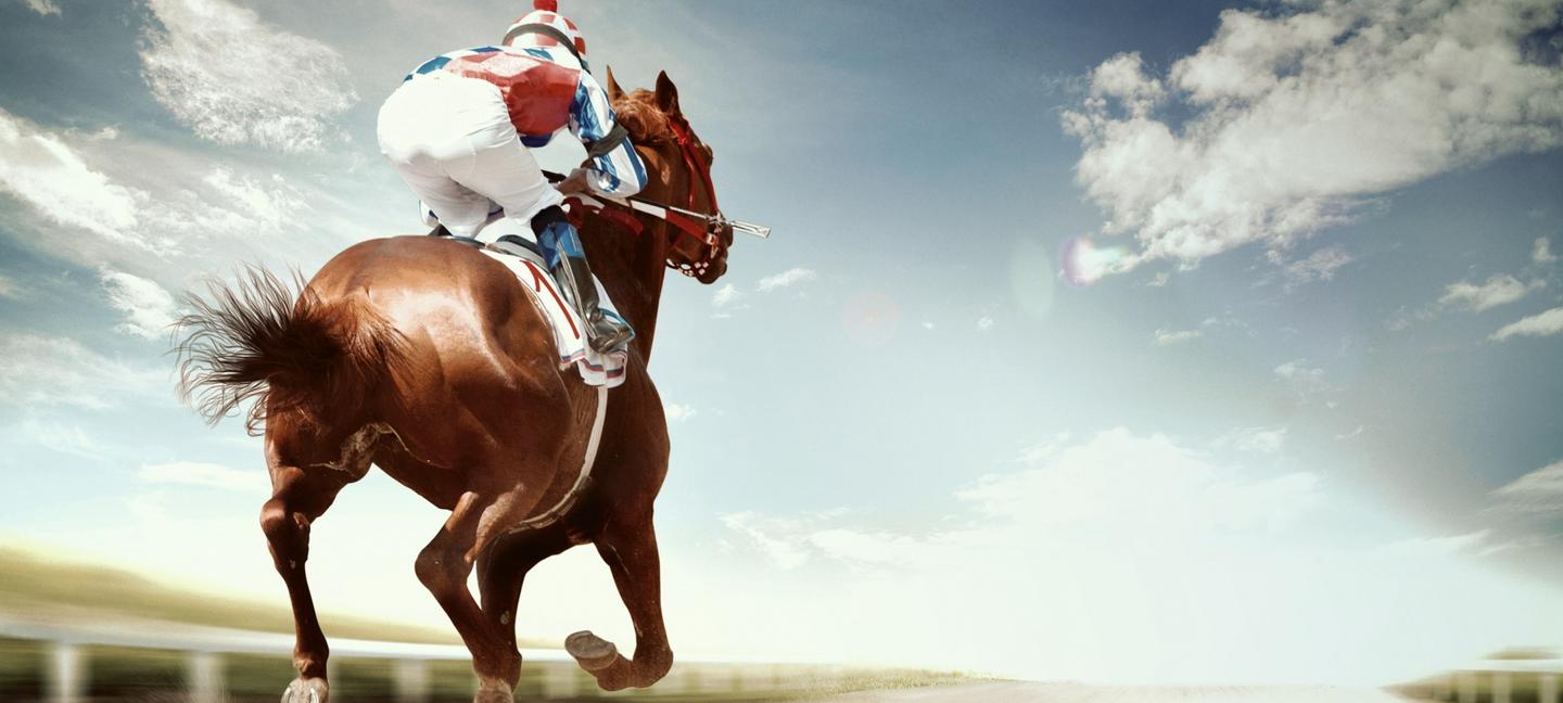 Comfort Suites Ocean City | Ocean City | 2